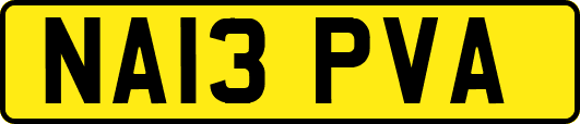 NA13PVA