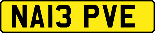 NA13PVE