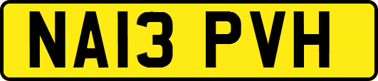 NA13PVH