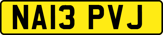 NA13PVJ