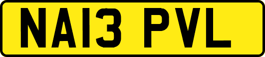 NA13PVL