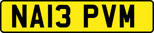 NA13PVM
