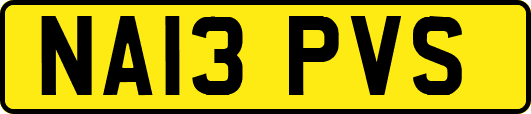 NA13PVS