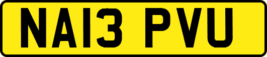 NA13PVU
