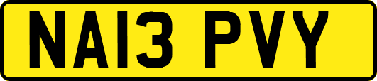 NA13PVY
