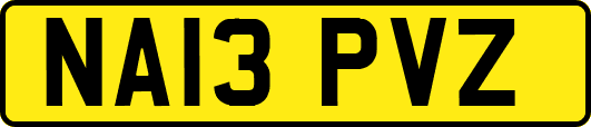 NA13PVZ