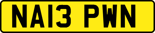 NA13PWN
