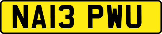 NA13PWU