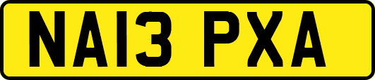 NA13PXA