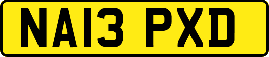 NA13PXD