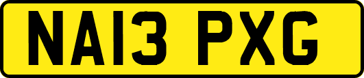 NA13PXG
