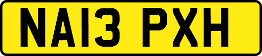 NA13PXH
