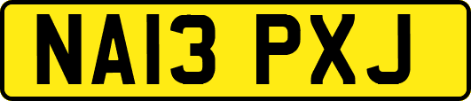 NA13PXJ