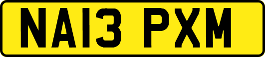 NA13PXM