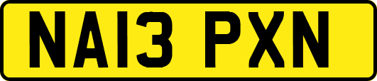 NA13PXN