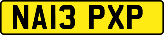 NA13PXP