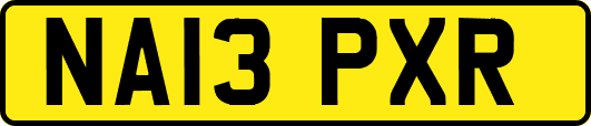 NA13PXR