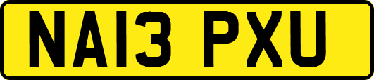 NA13PXU