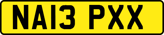 NA13PXX