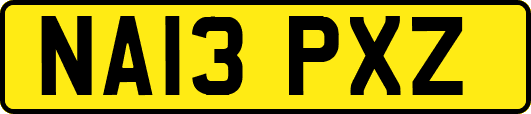NA13PXZ