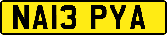 NA13PYA