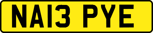 NA13PYE