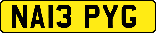 NA13PYG