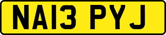 NA13PYJ