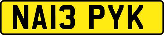 NA13PYK