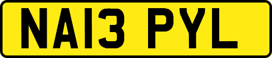 NA13PYL
