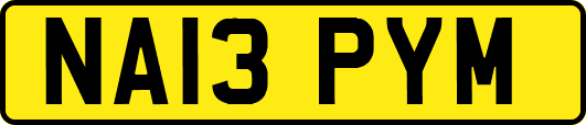 NA13PYM