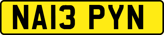 NA13PYN