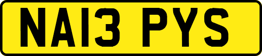 NA13PYS