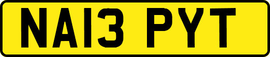 NA13PYT