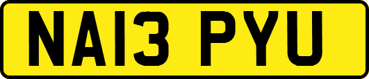 NA13PYU