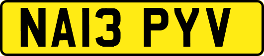 NA13PYV