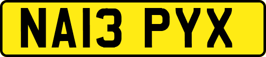 NA13PYX