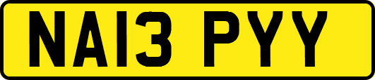 NA13PYY