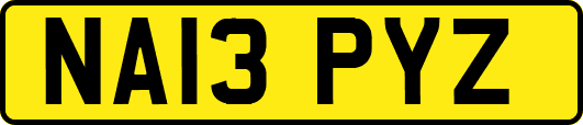 NA13PYZ