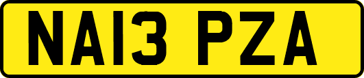 NA13PZA