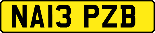 NA13PZB