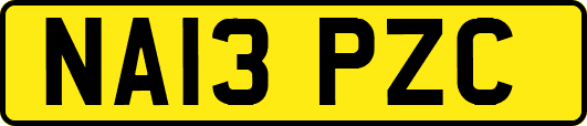 NA13PZC
