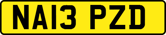 NA13PZD
