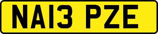NA13PZE