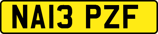 NA13PZF