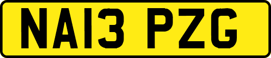NA13PZG