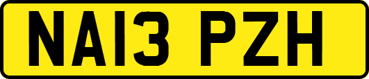 NA13PZH