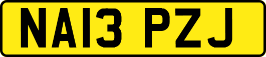 NA13PZJ