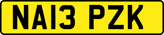 NA13PZK