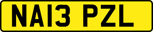 NA13PZL